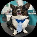petsplacegrooming
