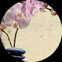 alignholistic