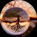 pionchiropracticllc