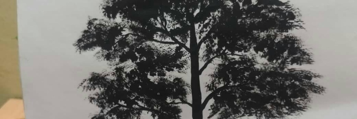 A Beautiful Tree | Super emilio