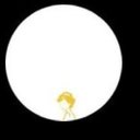 Tailocwedding