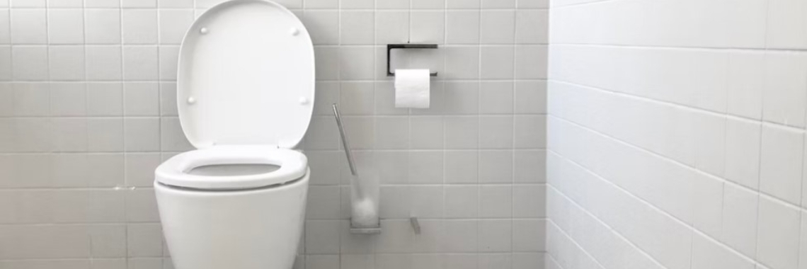 Fix A Leaky Toilet Yoors   1670315375 Pho 