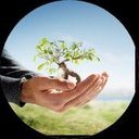 taylortreeremovalcompany