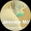 lakeviewmoldexperts