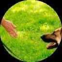 thek9club