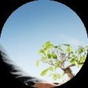 usatreeservice