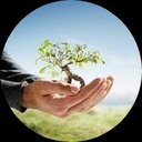 burchtreeservice