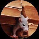 Pied Piper Termite & Pest Control, Inc.