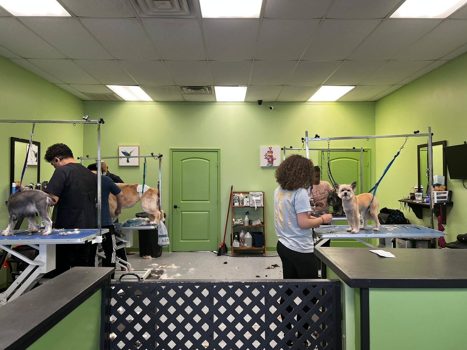 Fran N Friends Pet Grooming Yoors