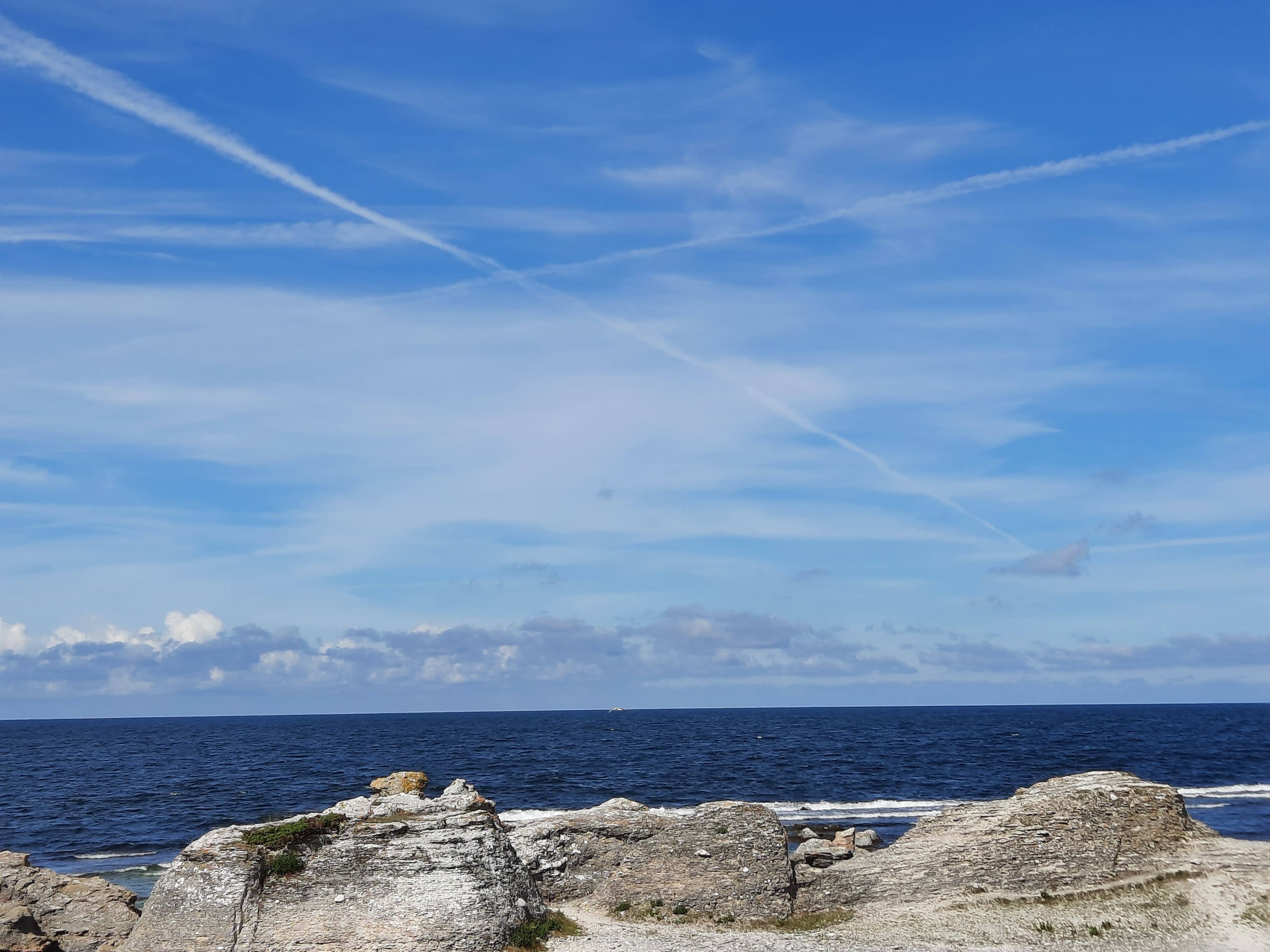 The story of life. | Serena