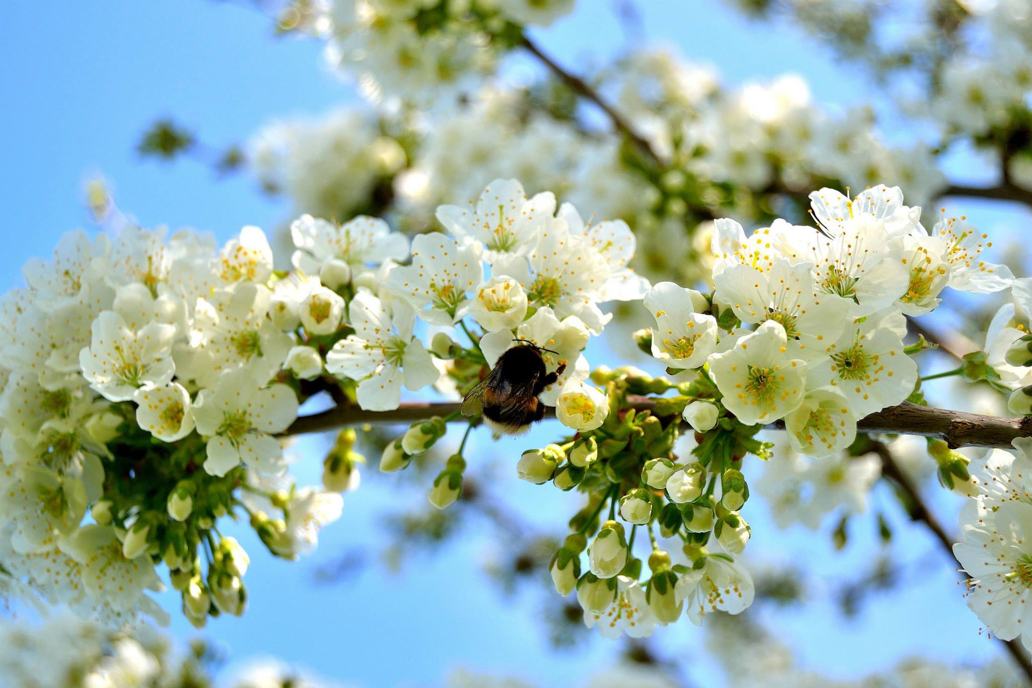 fotochallenge natuur | bodiesmindsoul