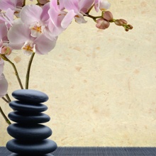 touchofhealthnj