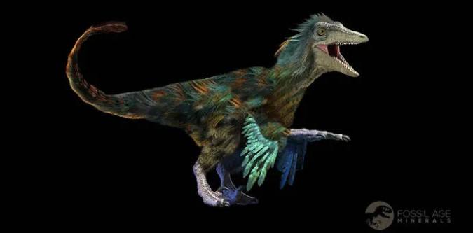 Raptor Teeth: How Size, Shape, and Serration Tell the Story of ...