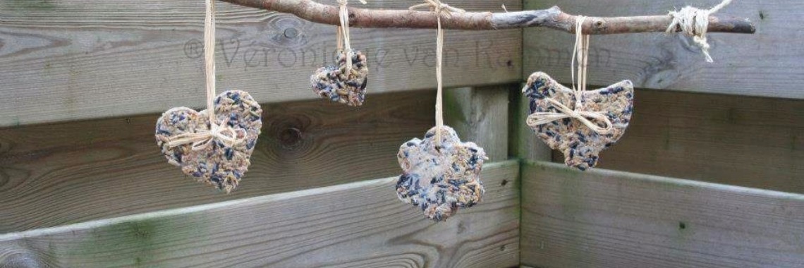 Vogel bollen zonder frituurvet  | Memmieblogger