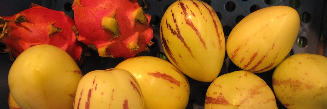 Meloenpeer of Pepino | geerako