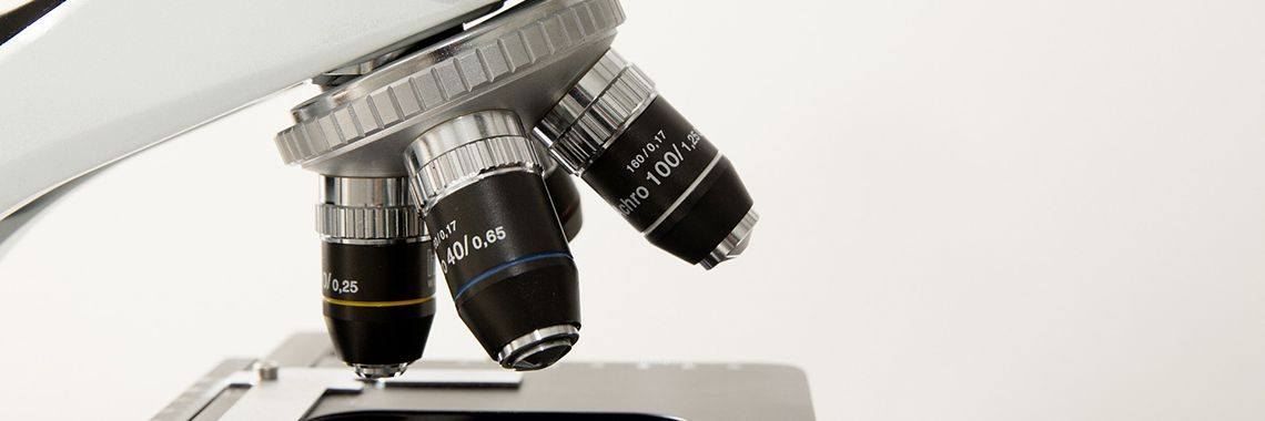 Yoors upgrades: de editor | sanderr