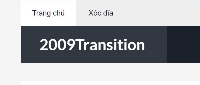 2009transition