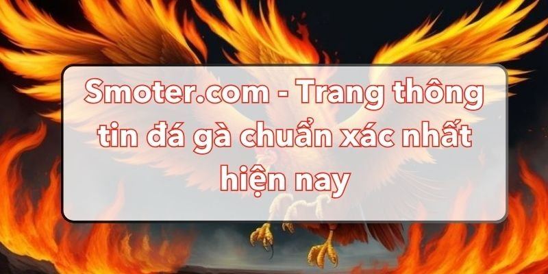 smoter.com1