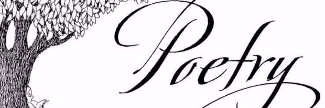 A good start - Goed begonnen | Rudi