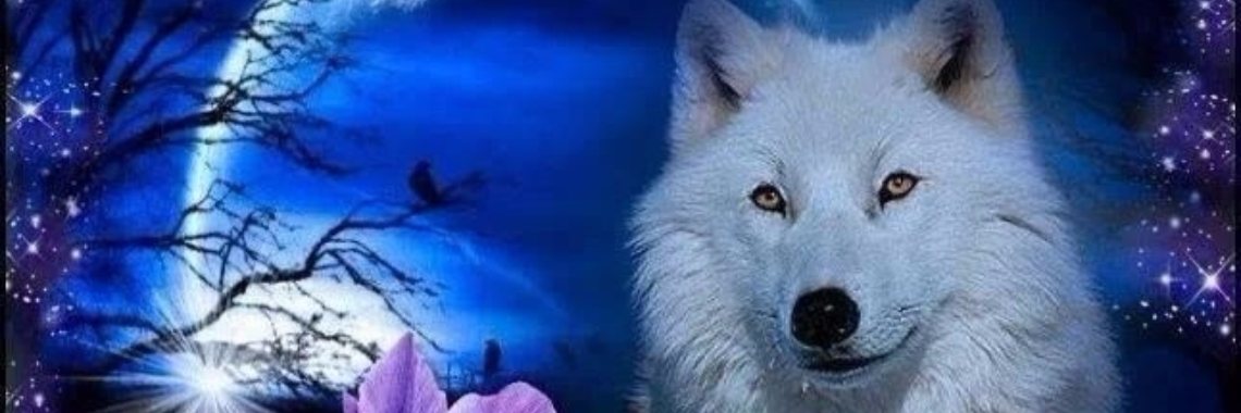 Avondgedicht: Wees zuiver... | Rudi