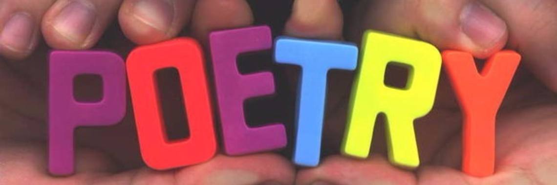 Birdies - Vogeltjes | Rudi