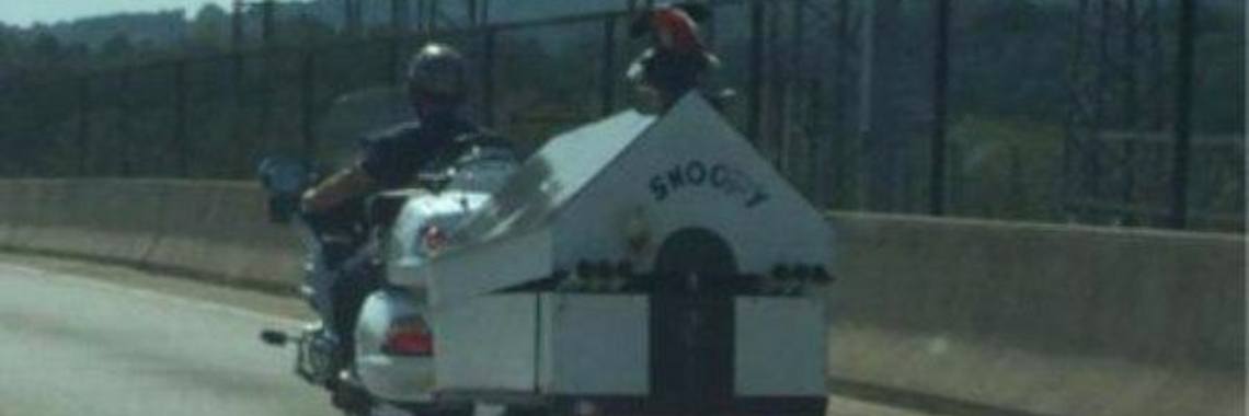 Bizar en auto's | Rudi