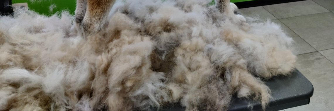 Dit is een natuurlijk verschijnsel... | Rudi