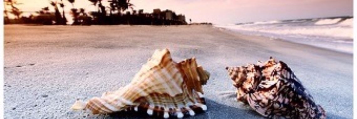 Gedichten uit 'Perpetuum Mobile': 11. Aangespoeld | Rudi