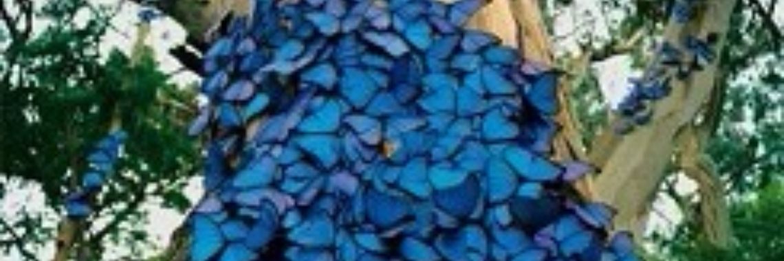 Gedichten uit 'Perpetuum Mobile' door Rudi J.P. Lejaeghere: 23. In de stilte van de kleuren | Rudi