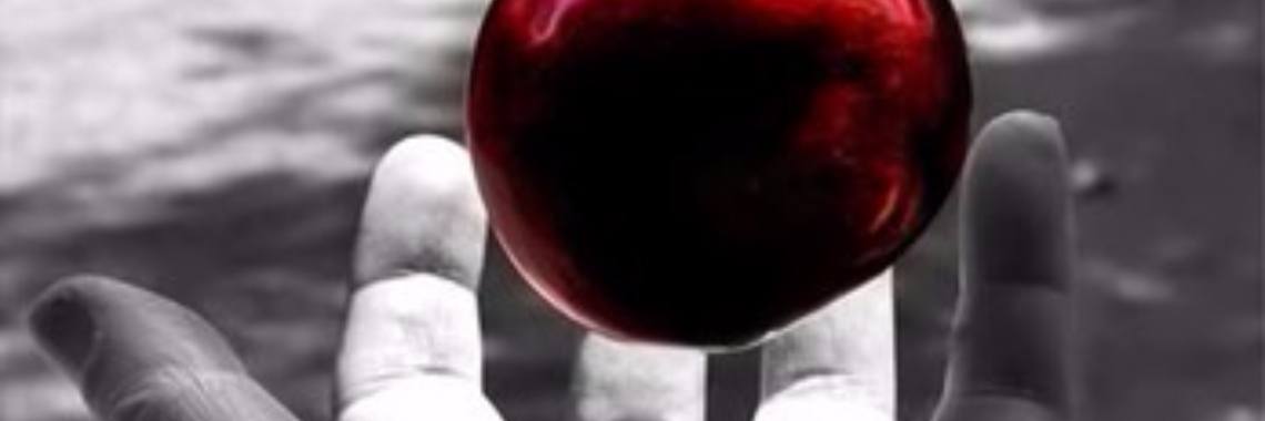 Gedichten uit 'Perpetuum Mobile': 9. Zwaartekracht | Rudi