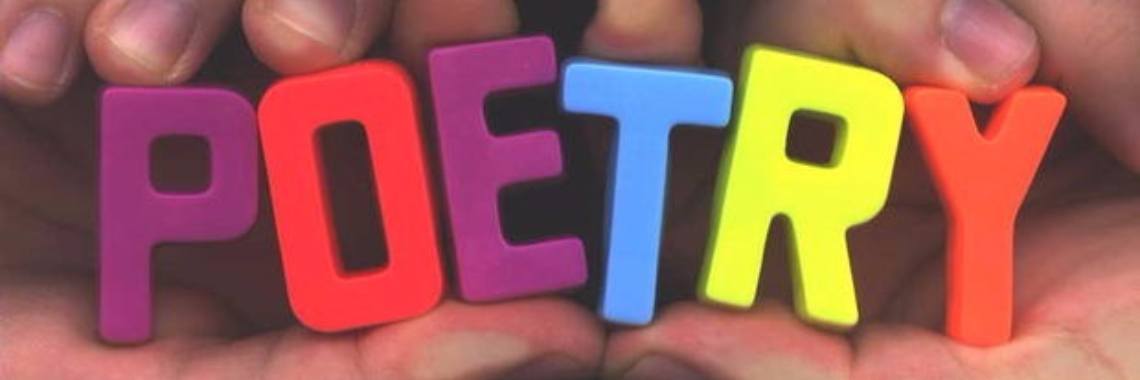 Hummingbird - Kolibrie | Rudi