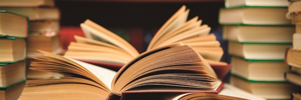 Mijn boekenhoek: Onschuldig - David Baldacci | Rudi