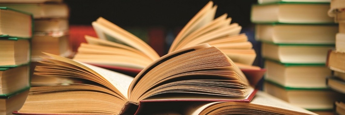 My bookcorner: The American - Andrew Britton | Rudi