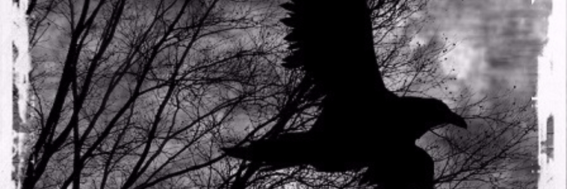 Onder de Vleugels van de Raaf: 11. Maar slapen...nu nog niet!!! (Poe-achtige gedichten) | Rudi