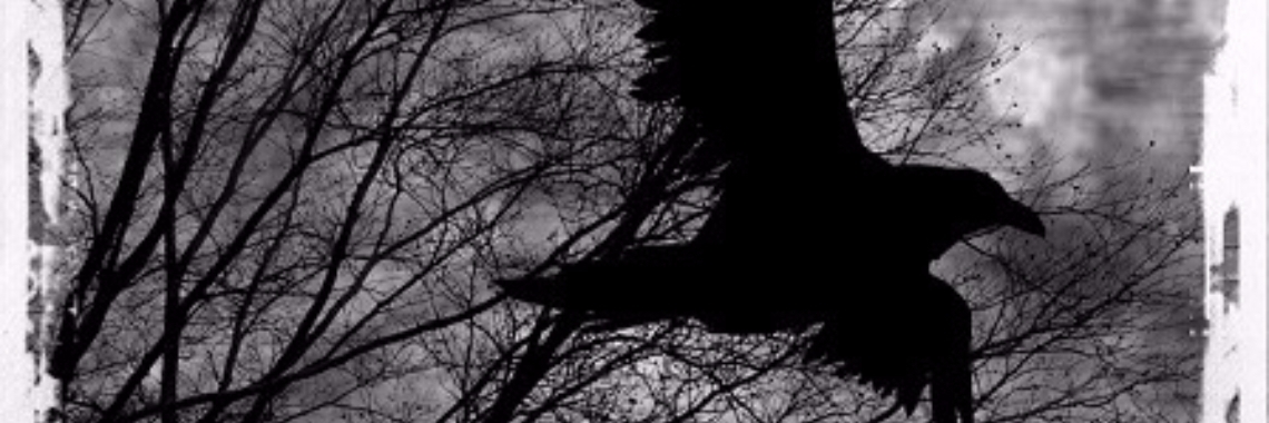 Onder de Vleugels van de Raaf: 3. In het donker | Rudi