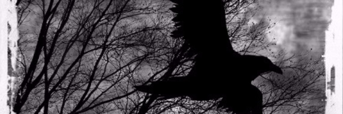 Onder de Vleugels van de Raaf: 8. Een weg uit de nacht (Poe-achtige gedichten) | Rudi