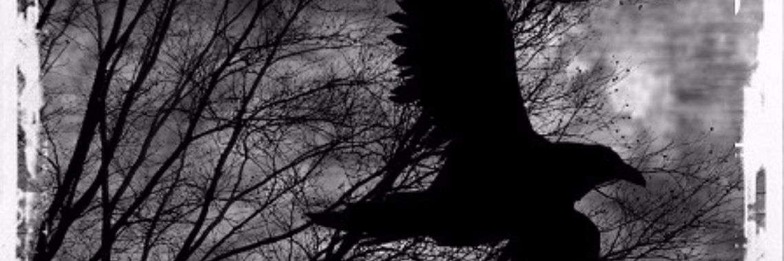 Onder de Vleugels van de Raaf: 9. Een van de wandelende doden (Poe-achtige  gedichten) | Rudi