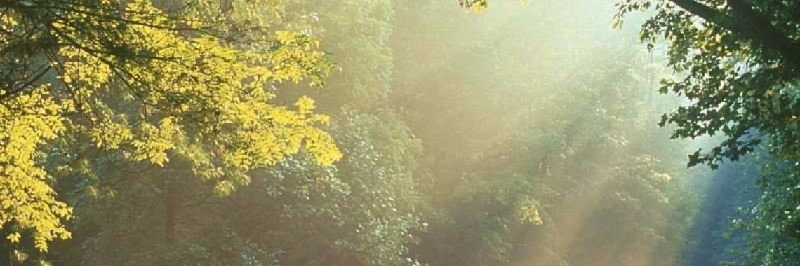 Prinses van het Licht | Rudi