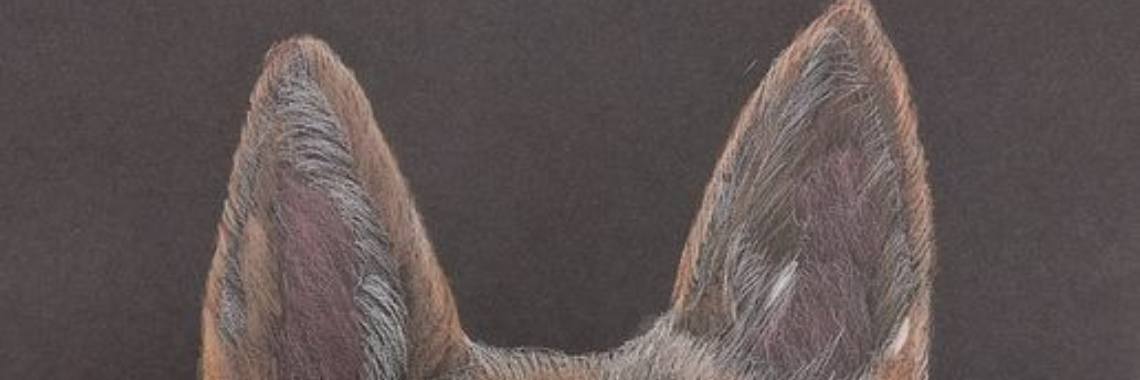 Zwart papier!!! | Rudi