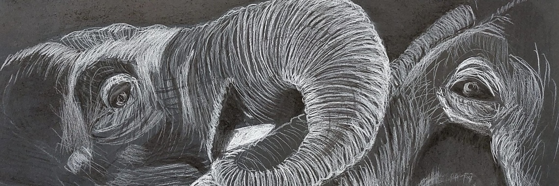 Zwartwit als tekening 2 | Rudi