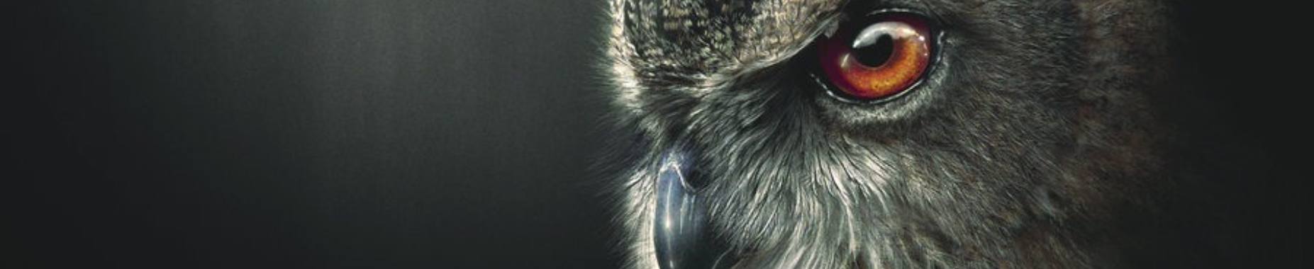 Onrust over Donkerplas: Hoofdstuk 16 | Rudi