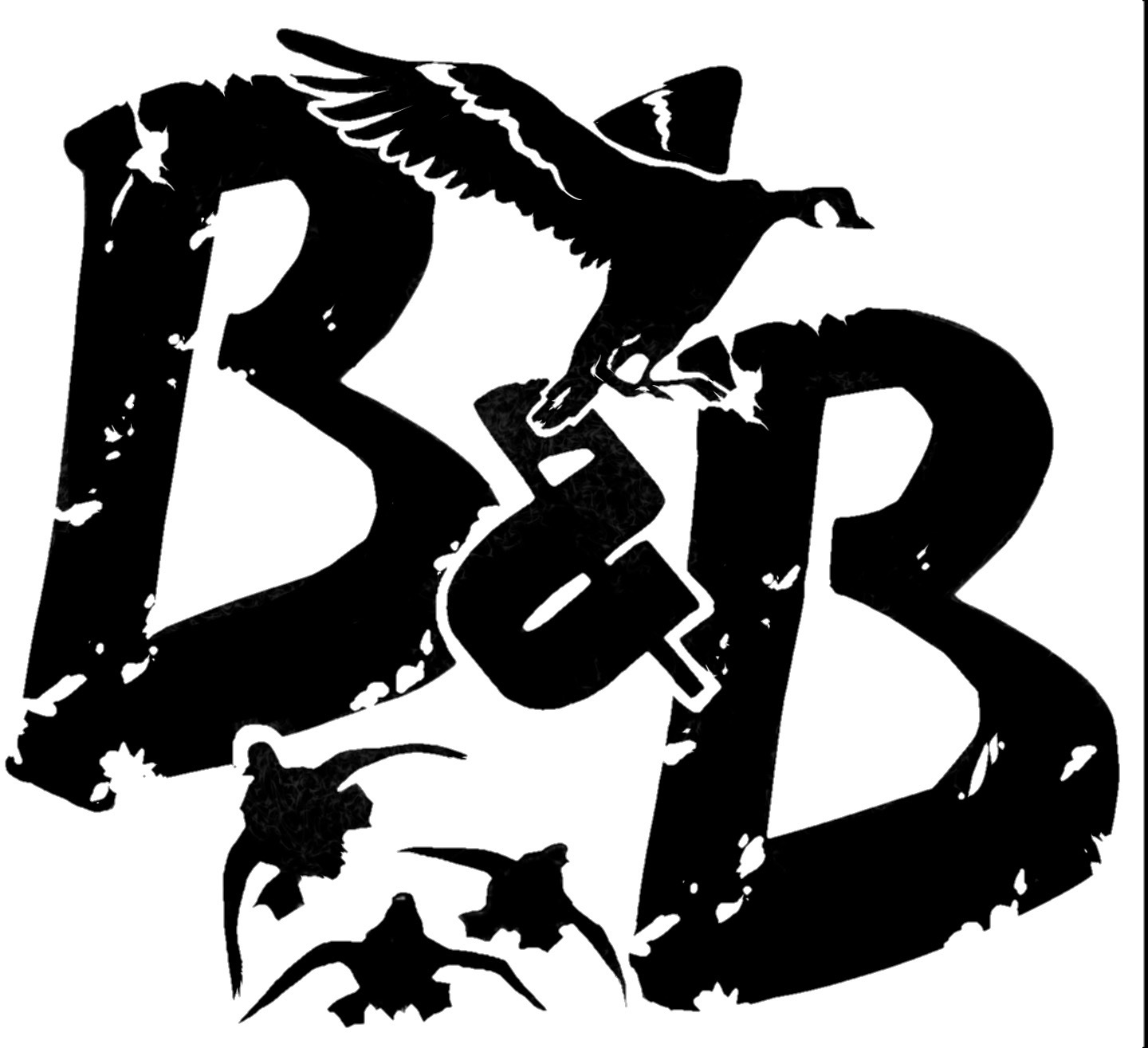 birdsandbuck