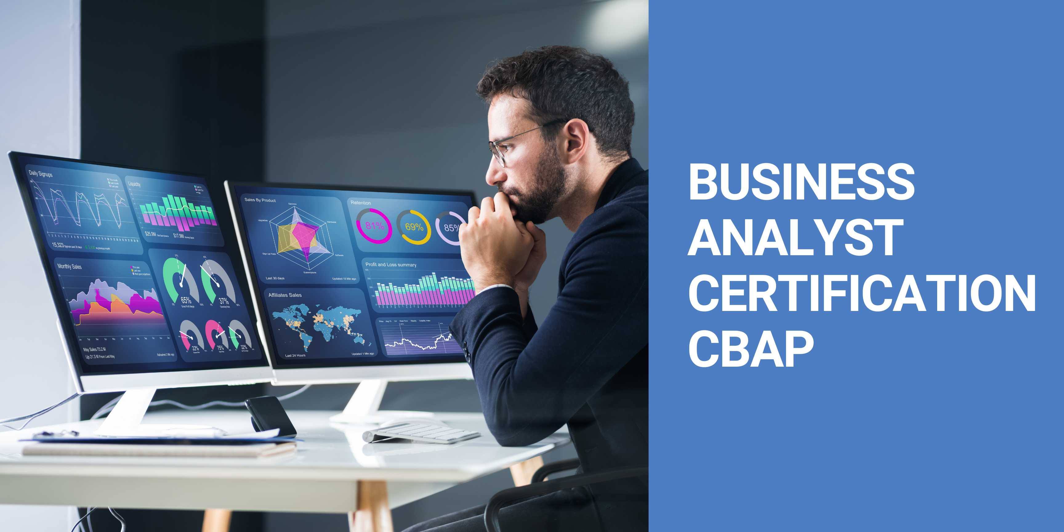 Everything About CBAP-Certified Business Analysis - Yoors