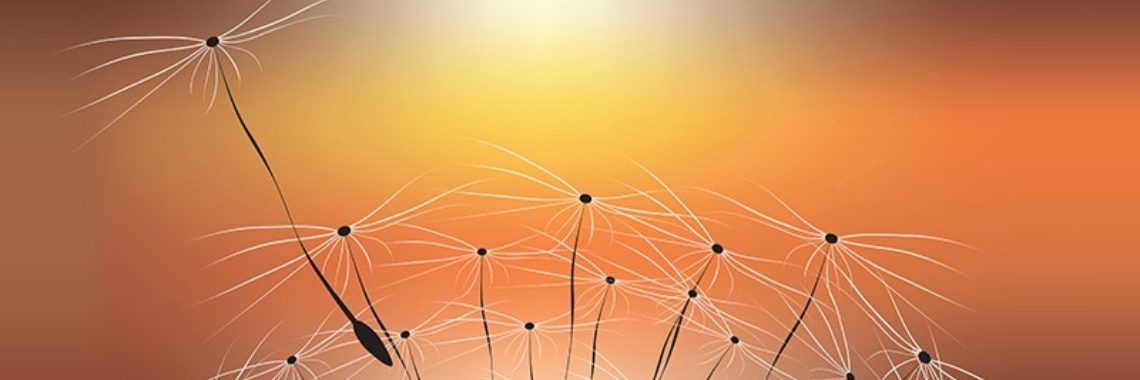 De drie Ontschuldigende psychische niveau's  | Quinta Ansem