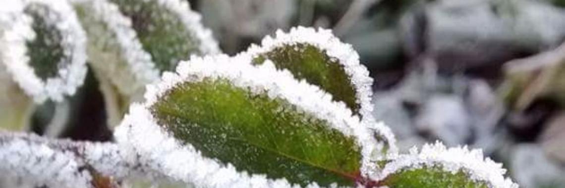 Buiten | Forever FeelGood