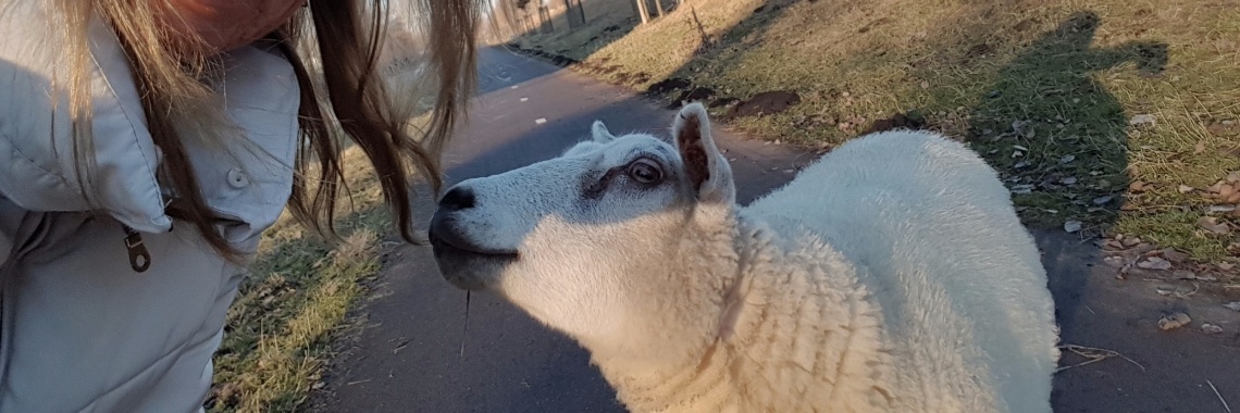 Heerlijke dag | Forever FeelGood