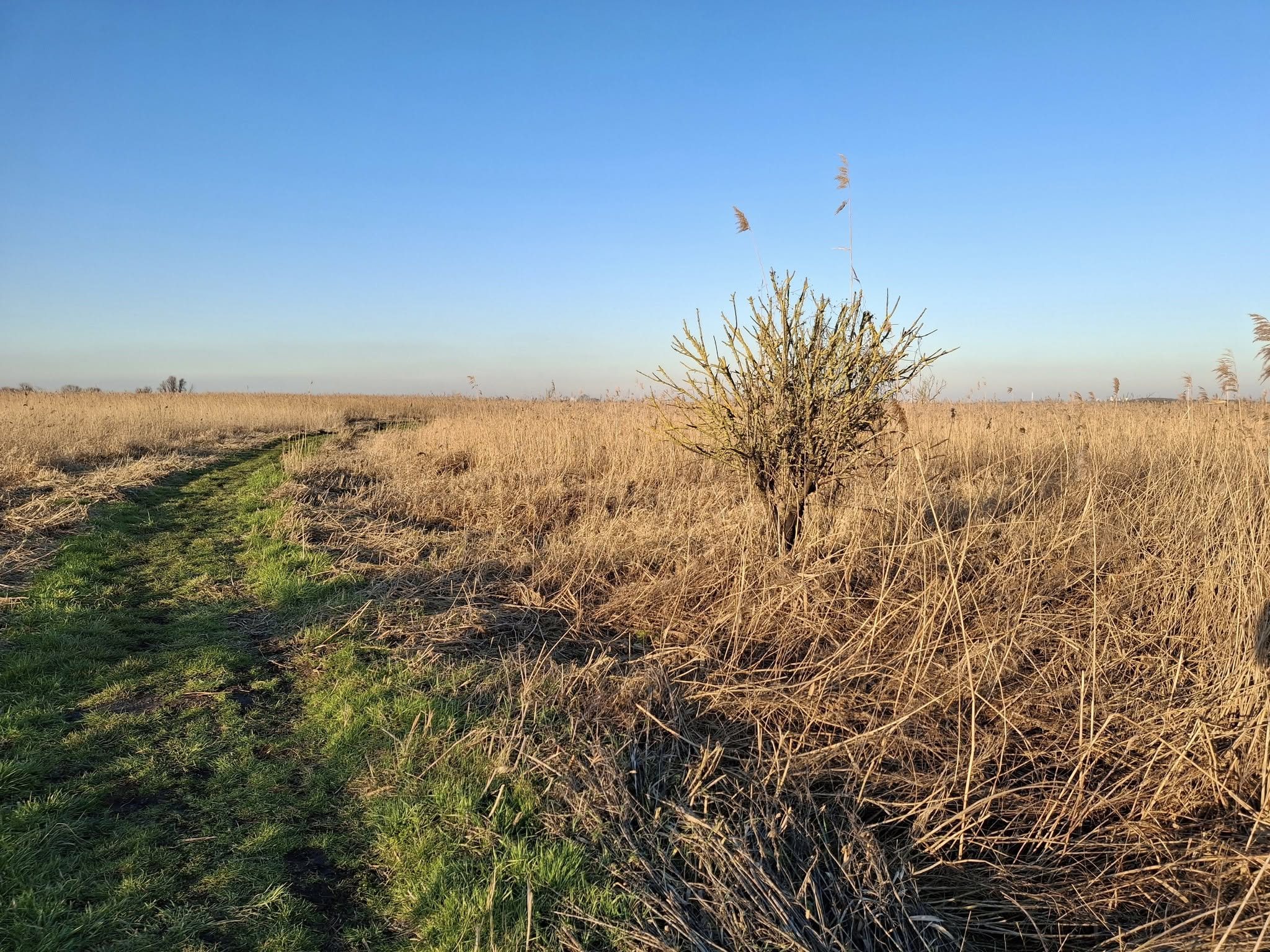 Dat was schrappen geblazen | Vlogger Gerrit Puttershoek