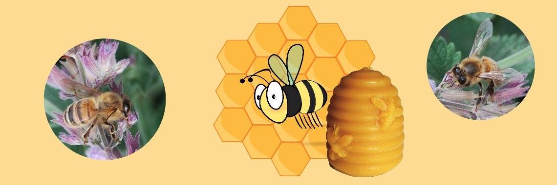 De bij hoort erbij | Riek