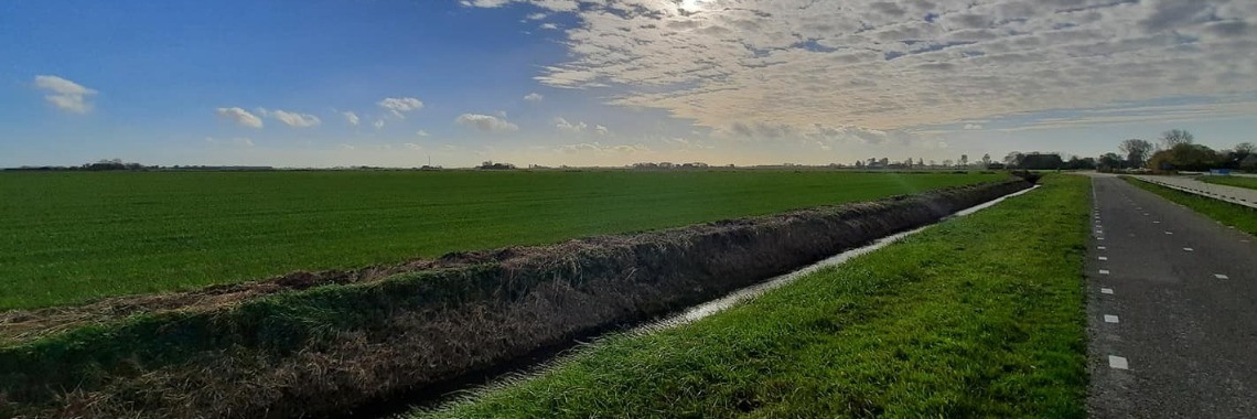 Delicious weather | Riek
