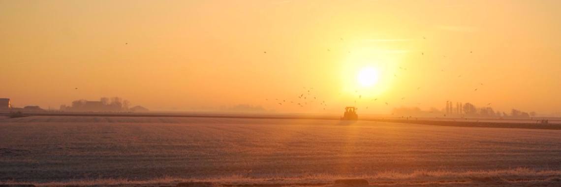 Winter Wonderland | Riek